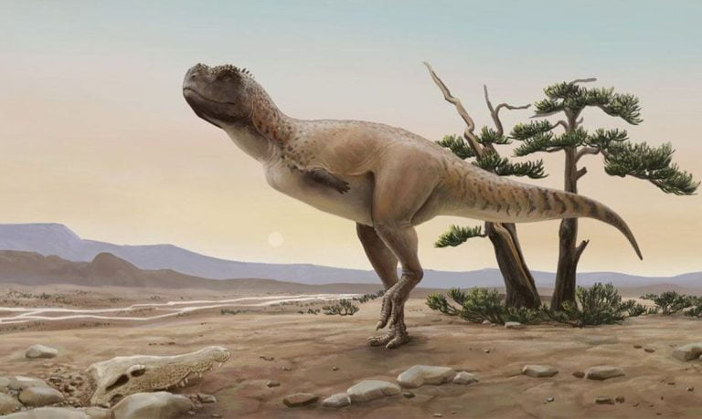 Nova espécie de dinossauro carnívoro é descoberta na região