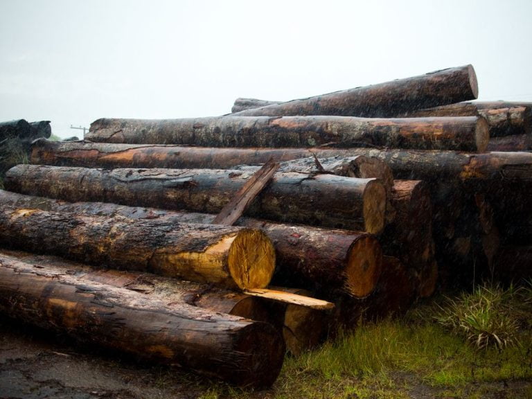 Jovem é morto a tiros na zona Norte de Ribeirão Preto
