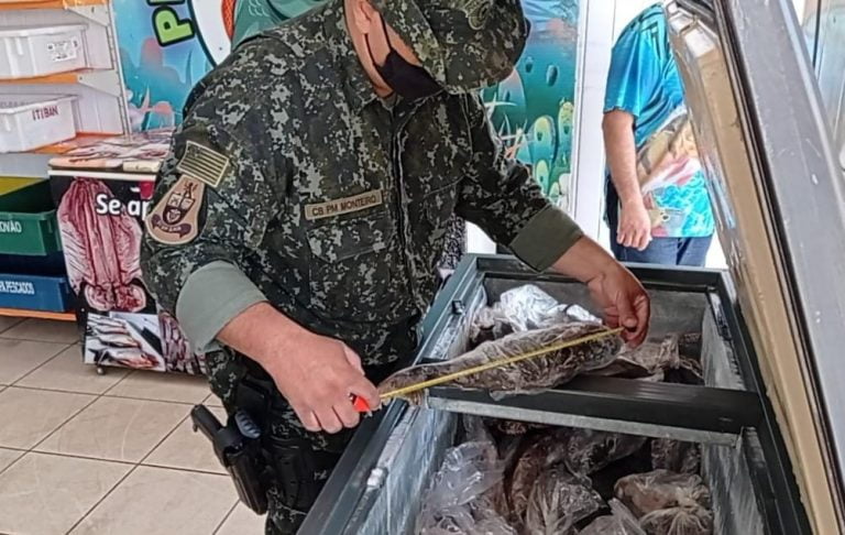 Piracema começa hoje em todo o Brasil