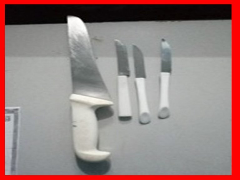 Estudante é surpreendido com quatro facas dentro da escola de Matão