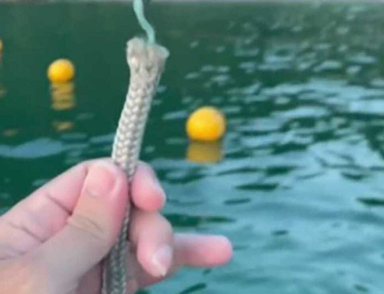 Piloto Cacá Bueno tem âncora furtada em Angra dos Reis