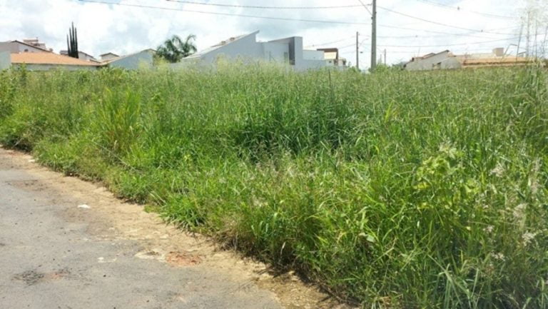 Prefeituras de Araçatuba e Birigui intensificam a fiscalização de limpeza de terrenos