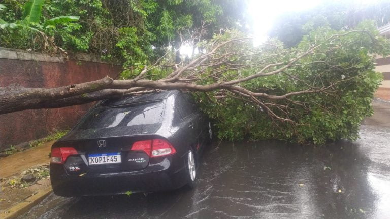 Vendaval causa estrago em muitos pontos da cidade