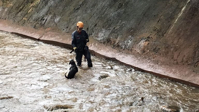Vídeo | Cachorro caí no córrego e é resgatado pelos bombeiros em Ribeirão