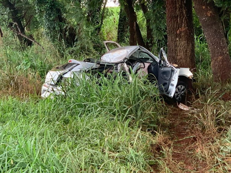 Colisão em árvore mata motorista em rodovia da região