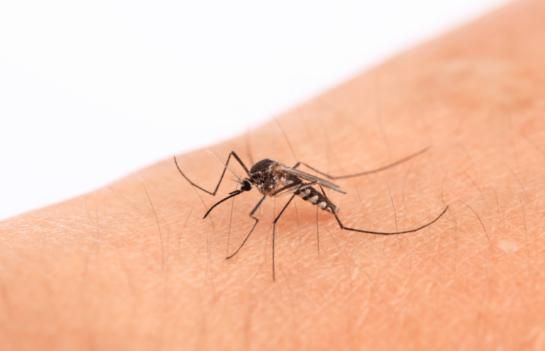 Fortes chuvas devem perdurar até sexta-feira (8) em Ribeirão