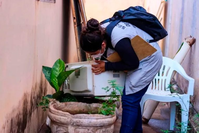 Mutirão de combate ao mosquito da dengue em Birigui já passou por quatro bairros