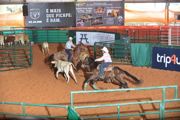 Provas equestres serão realizadas no final de semana no recinto de exposições de Araçatuba