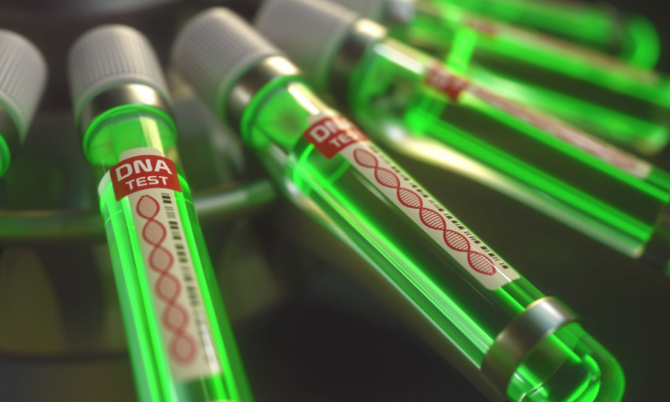 Envelhecimento saudável: cientistas criam 1º banco genômico de idosos do Brasil