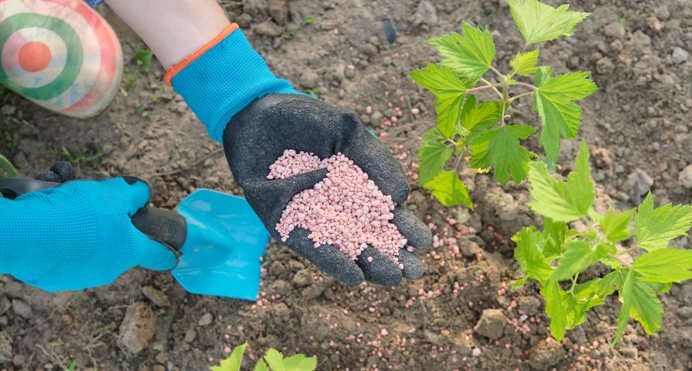 Potássio: canadenses citados por Bolsonaro têm 149 pedidos de exploração no País