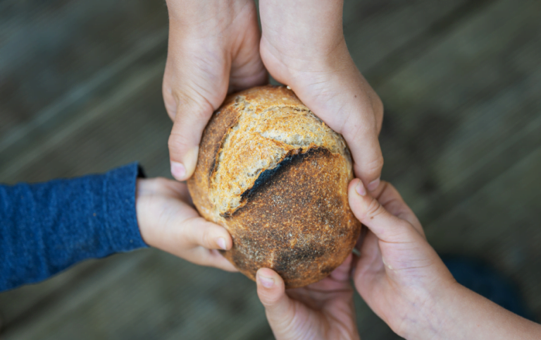 Inteligência artificial reune dados no combate à fome