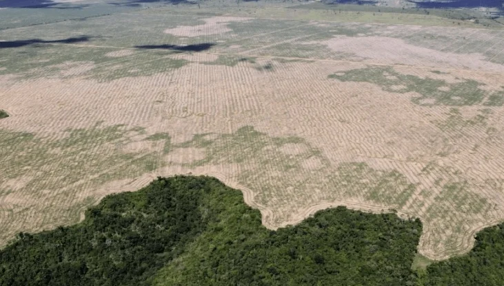 Desmatamento na Amazônia cai 15% em março, afirma INPE
