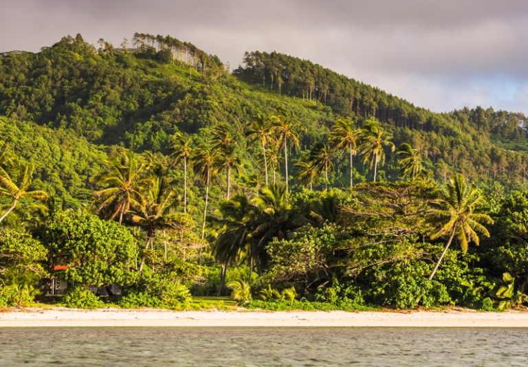 Butantan simulará ambiente de ilha na capital para preservar jararaca-ilhoa
