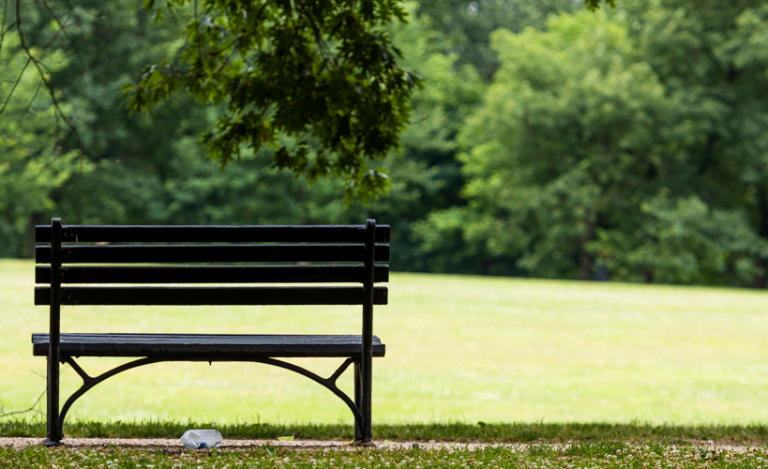 Após acordo, Prefeitura de SP quer Parque Campo de Marte até o fim de 2024