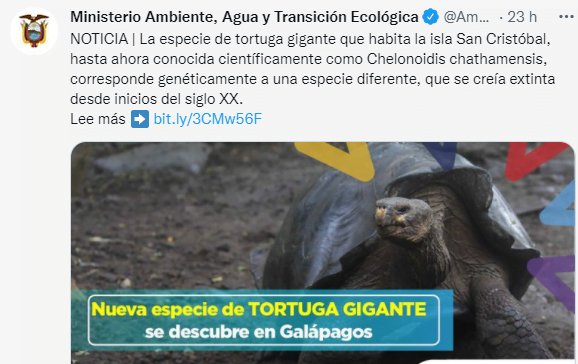 Violência nas escolas tem solução simples?