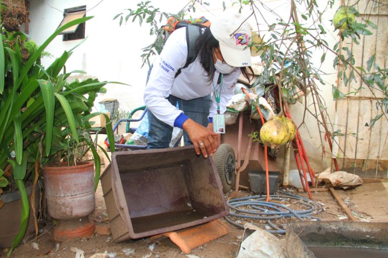 Mais de 8,3 mil imóveis de Birigui já foram vistoriados no mutirão de combate ao mosquito transmissor da dengue
