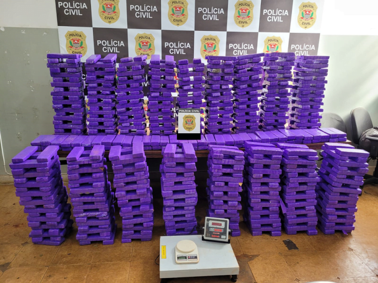 Deic de Ribeirão Preto encontra mais de meia tonelada de maconha enterrada em chácara