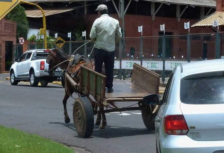 Lei proíbe tráfego de charretes e carroças na área central de Araçatuba