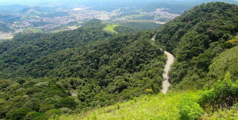Mata Atlântica perde 20 mil campos de futebol em 1 ano com desmatamento