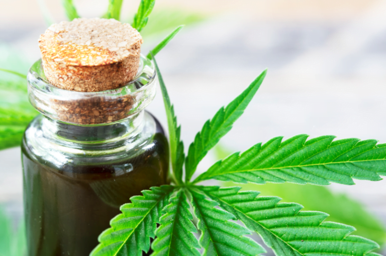 Tailândia vai liberar a maconha e distribuir mudas da erva à população