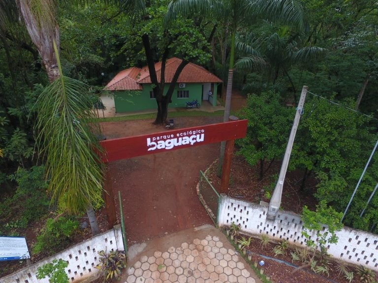 Araçatuba promove atividades da Semana do Meio Ambiente