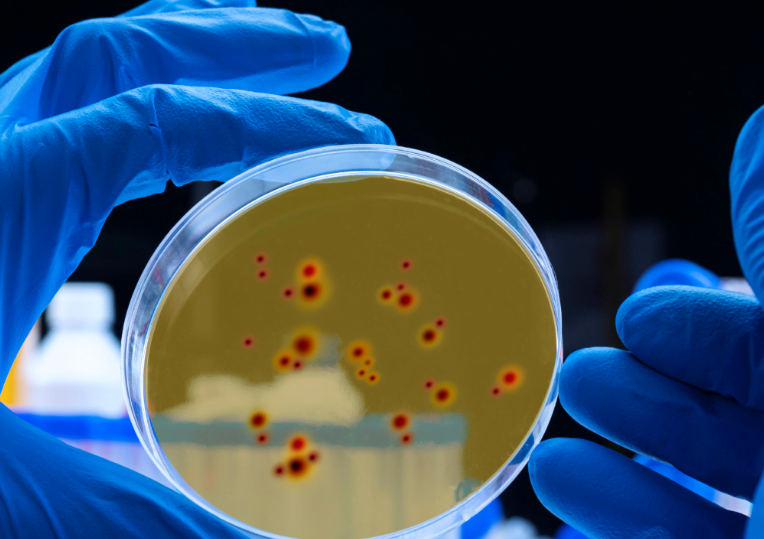 Só 1 em cada 4 pessoas com hepatite B no Brasil sabe que tem a doença