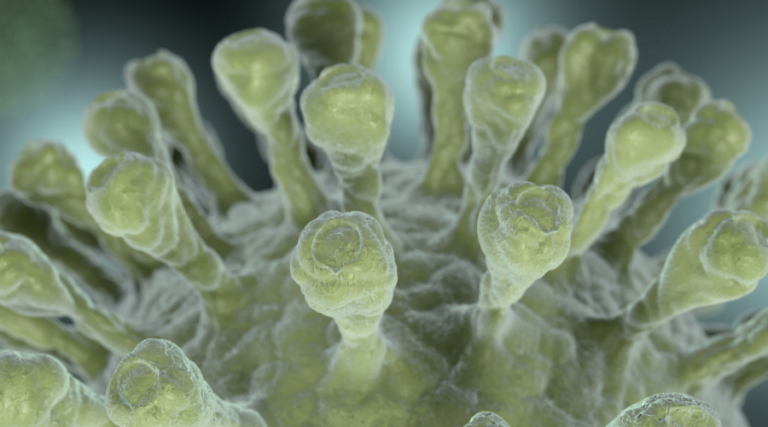 Covid-19 já representa 60% dos casos de Síndrome Respiratória Aguda Grave