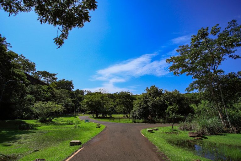 Parque Curupira é reaberto após força-tarefa de limpeza