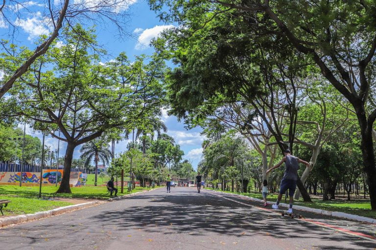 Diversão garantida: Eventos gratuitos movimentam parques públicos no final de semana