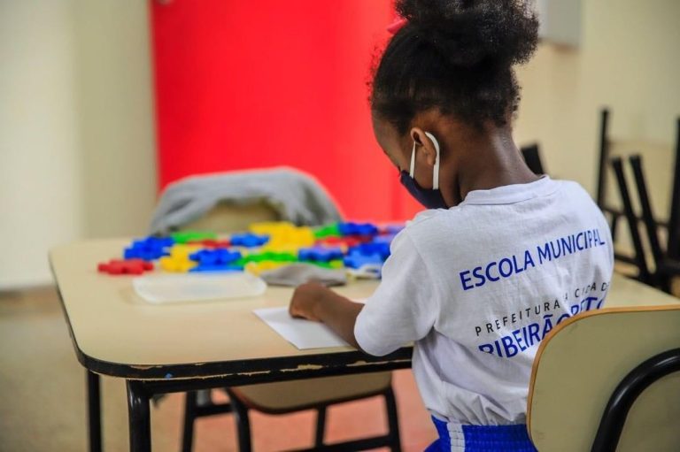 reorganização da educação infantil