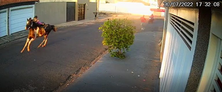Vídeo | Uma criança se feriu após cair de um cavalo em disparada no bairro COHAB 3 em Jaboticabal.