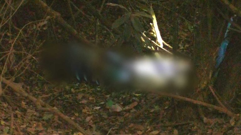 Políciais civis ouvem estampidos e encontram homem executado na Estrada do Piripau