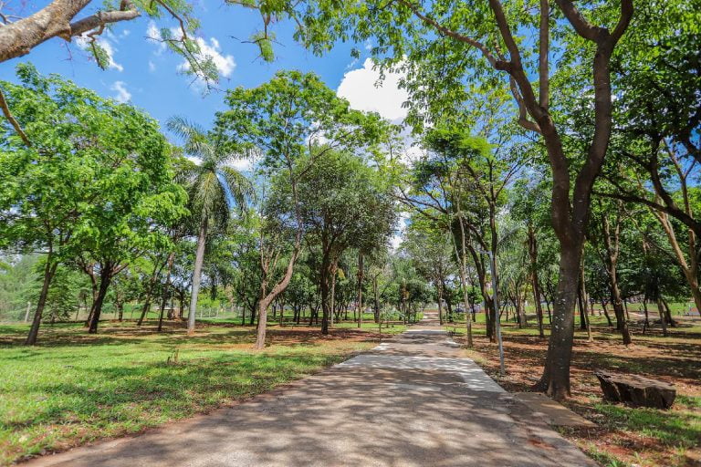 Final de semana com muitas atrações nos parques públicos de Ribeirão