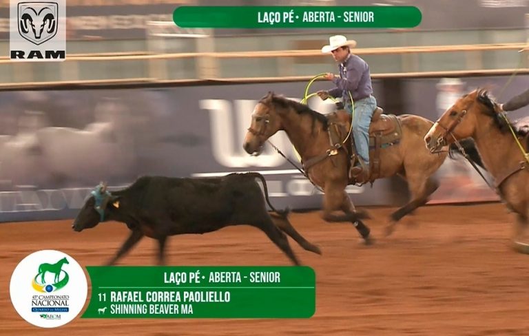 Vídeo | Cavaleiro solta as rédeas do cavalo e vence prova na última corrida do animal antes da aposentadoria