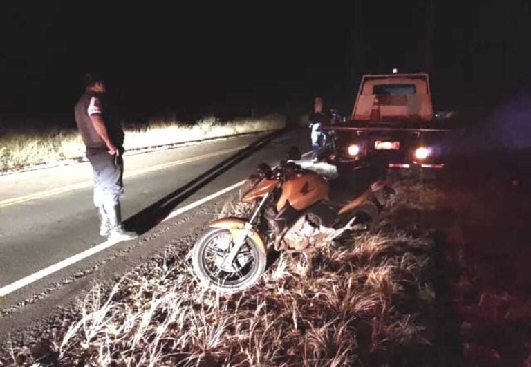 Motociclista morre ao atropelar tamanduá em rodovia da região