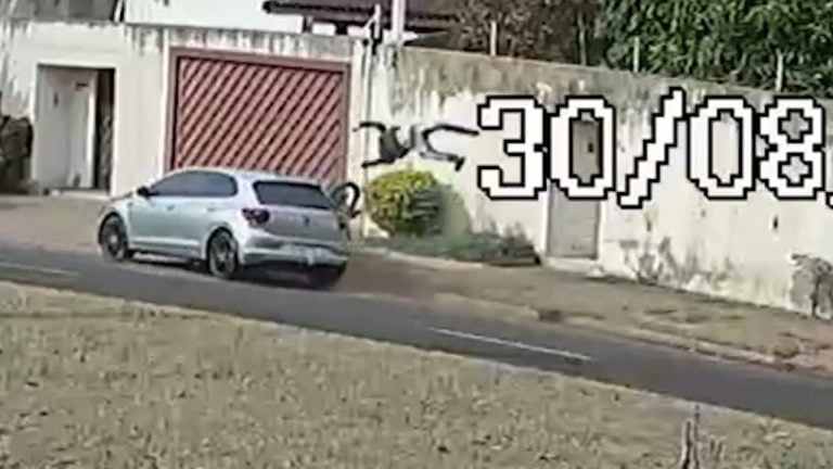 Vídeo |Suspeito foge da polícia e termina atropelado por um automóvel