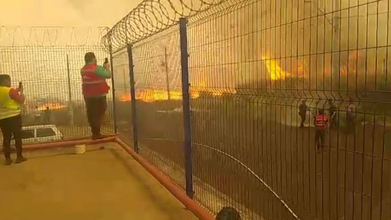 Vídeo: Incêndio alastra-se sob o efeito da ventania na zona Norte de Ribeirão Preto