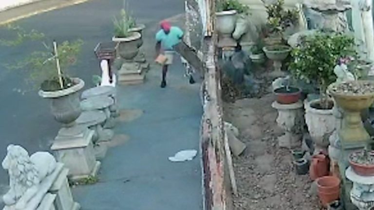 Vídeo | Homem agride cachorro com ‘tijolada’ em cidade da região