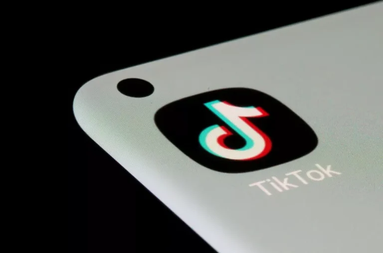 TikTok é a principal rede social utilizada por crianças e adolescentes no Brasil