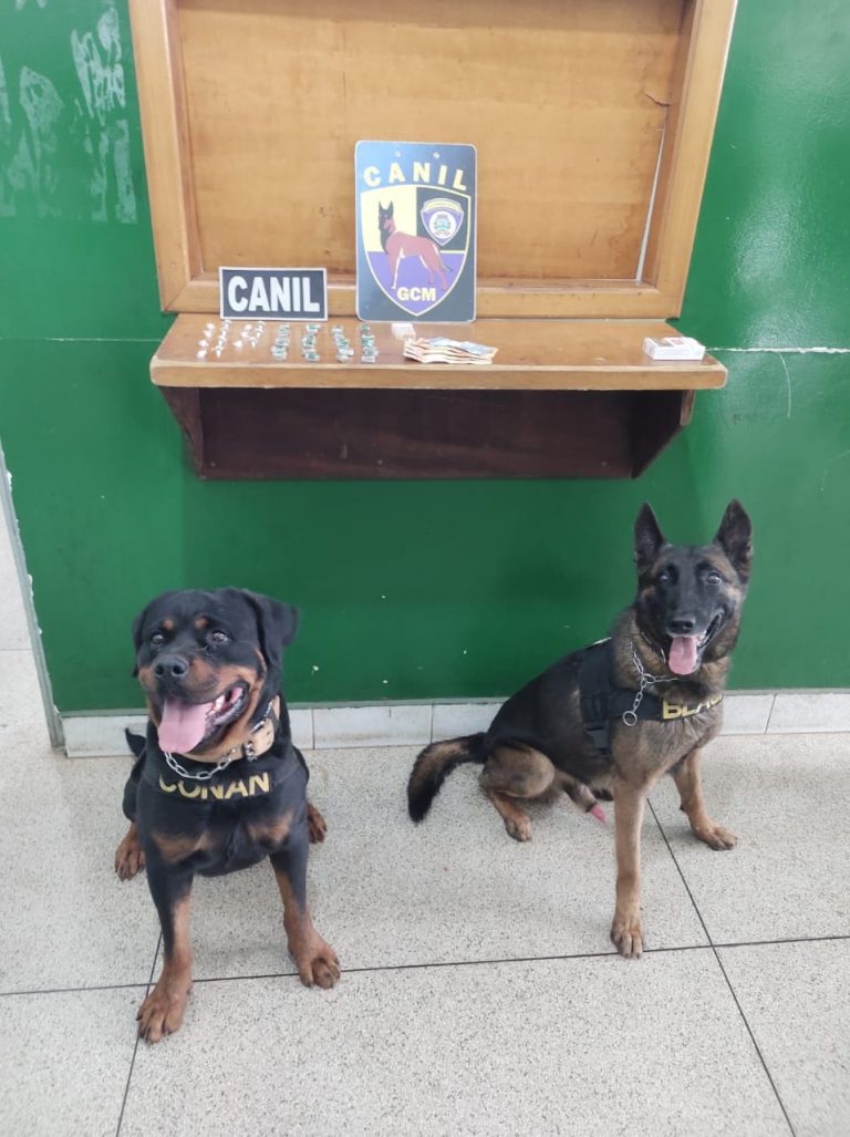 Guarda Civil Metropolitana prende traficante no Jardim Zara, zona leste de Ribeirão Preto