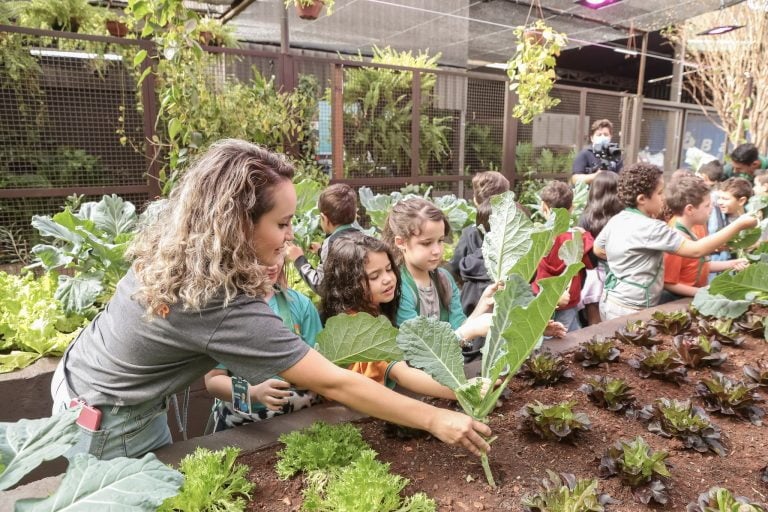 Comida que seria jogada fora vira adubo em horta criada por shopping de Ribeirão Preto