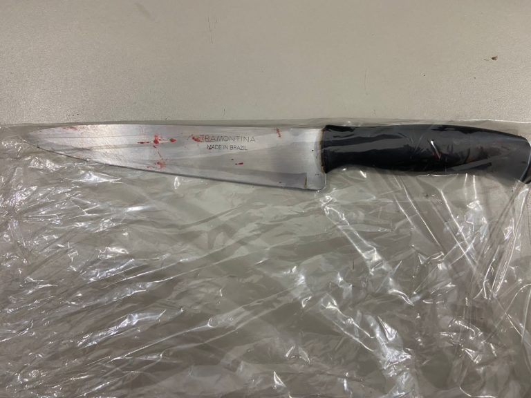 Vídeo: Mulher esfaqueia a amante do marido e é presa no Royal Park