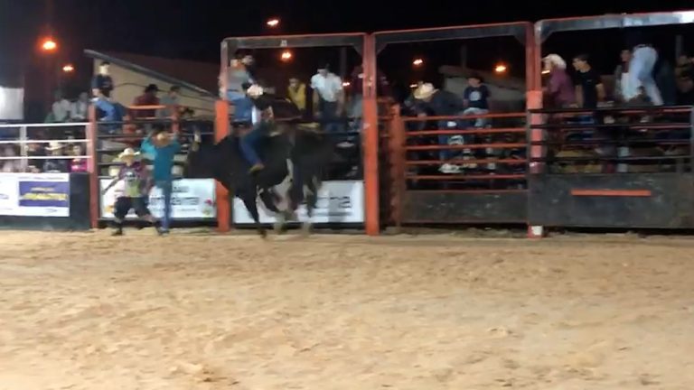 Peão é pisoteado em festa do peão de Barretos