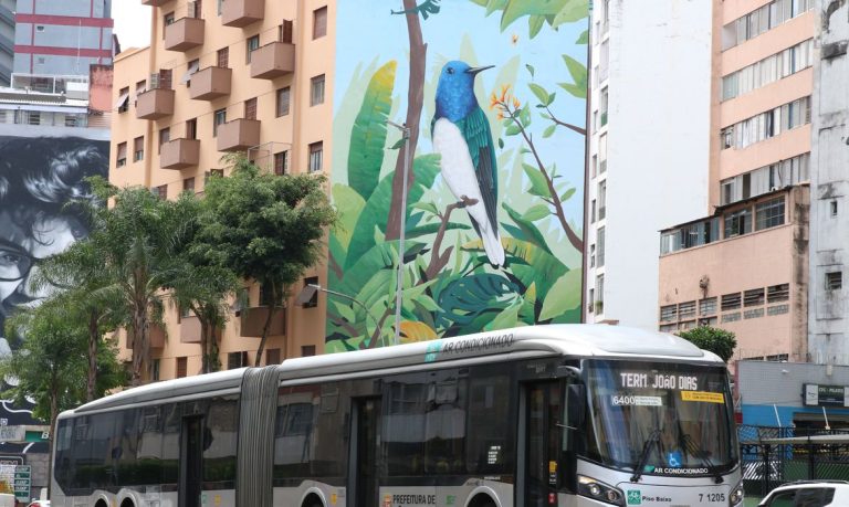 Mudança na regra: Estados também podem oferecer transporte gratuito no segundo turno