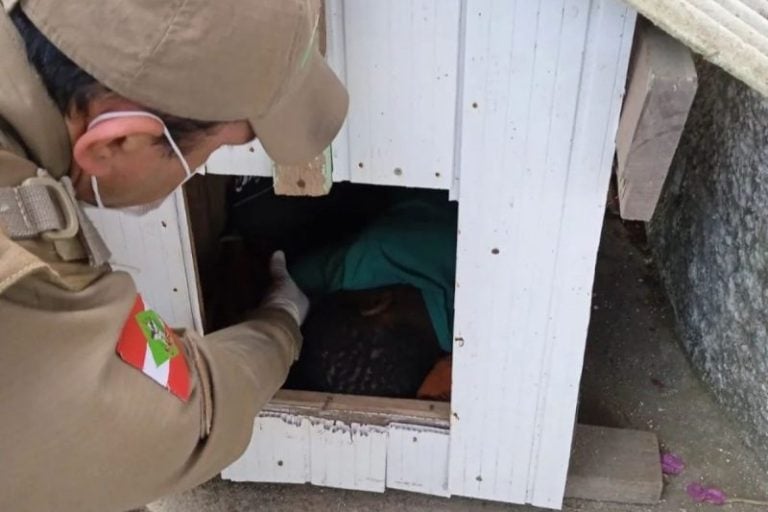 Abandono de incapaz: polícia encontra criança dormindo em casinha de cachorro