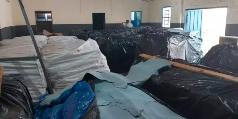 DIG recupera couro roubado, avaliado em 1 milhão de reais