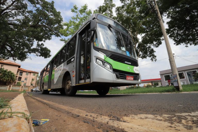 Xixi perigoso | Motorista estaciona o ônibus para ir ao banheiro, passageiro entra, solta o freio de mão e causa colisão numa árvore