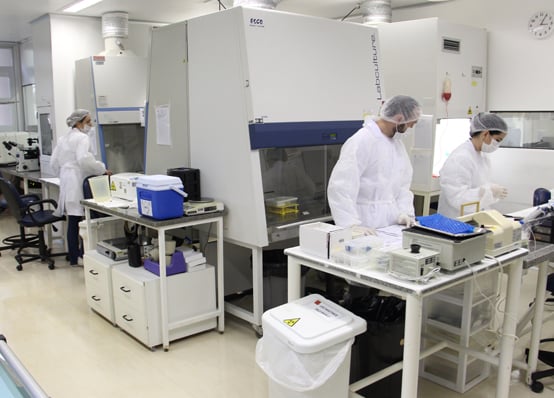 Urgente: chamada para doadores do tipo O- no GSH Banco de Sangue de Ribeirão Preto