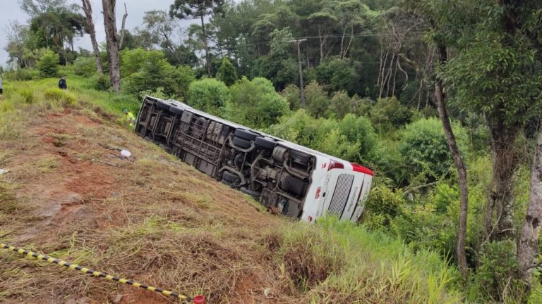 Tragédia no Paraná: Acidente de ônibus deixa ao menos sete mortos
