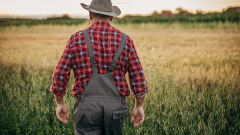 Justiça concede aposentadoria por idade rural a lavrador